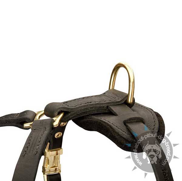 Multipurpose leather harness