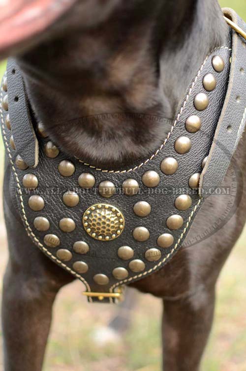 Exclusive Leather Dog Harness