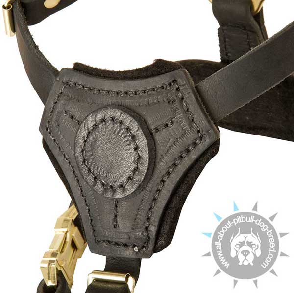 Fully leathern puppy harness padded with felt