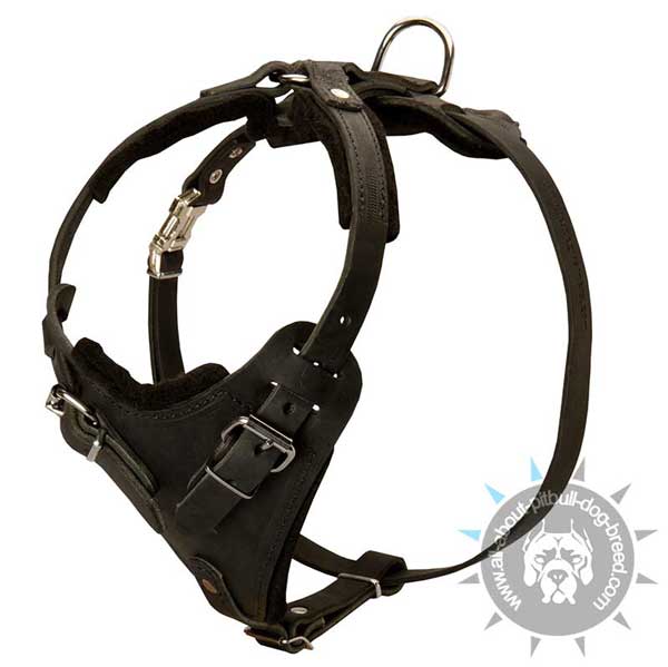 Prime quality safe dog harness