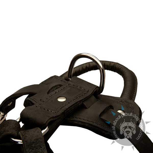 Most  demandable dog harness