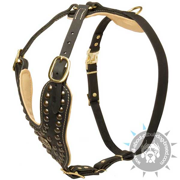 Fashionable Leather Pitbull Harness