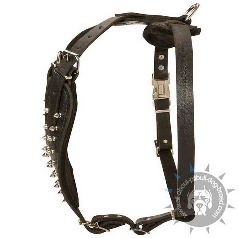 Comfy-to-wear Leather Pitbull Harness with Padded Chest Plate