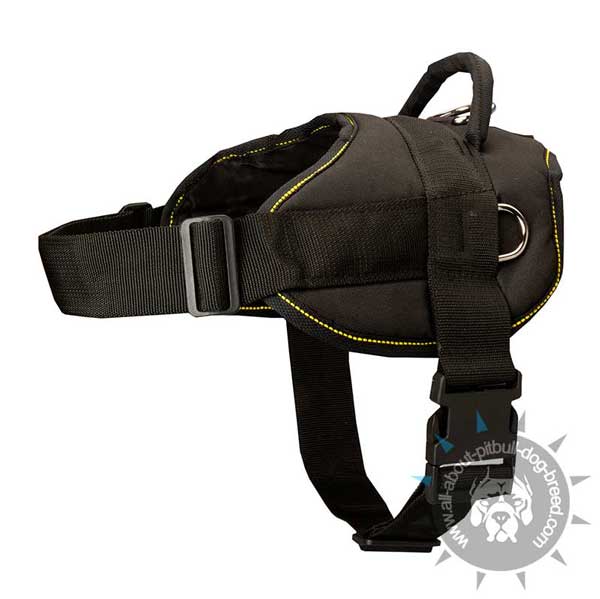 Lightweight Nylon Dog Harness