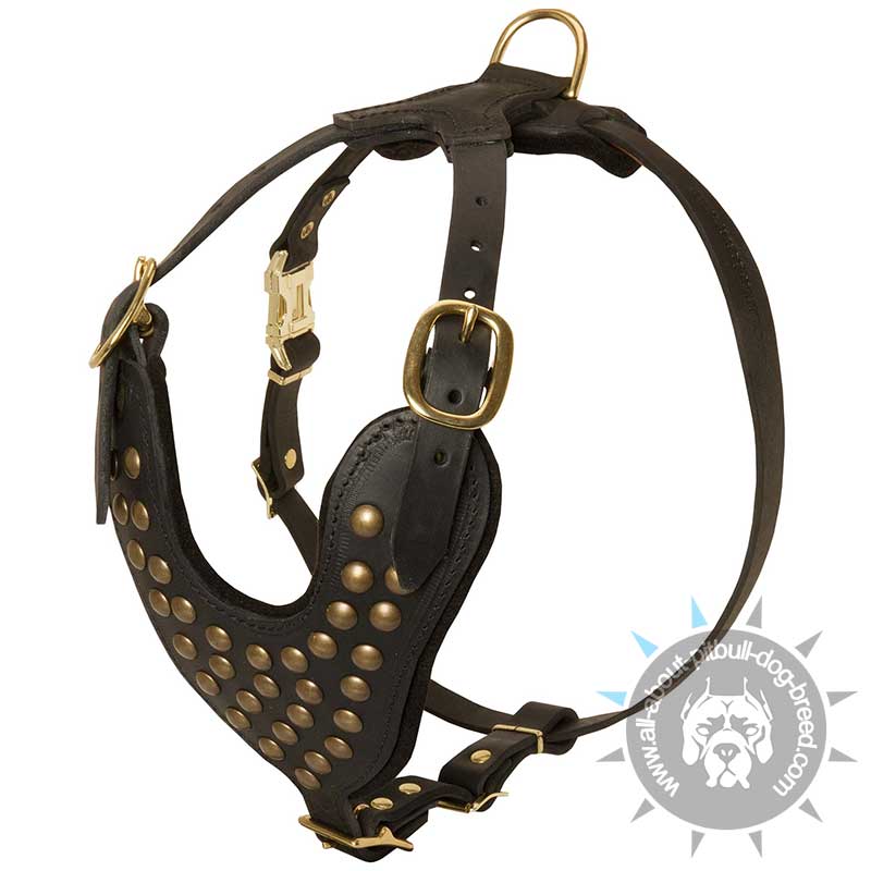 2-Ply Latigo Leather Dog Harness w/Studs - Pit Bull Gear