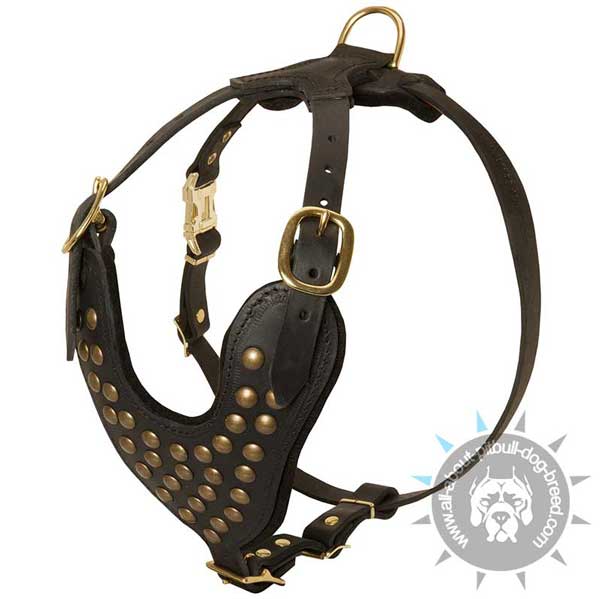 Adjustable Studded Leather Pitbull Harness