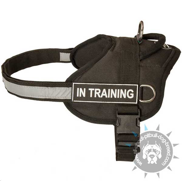 Reflective sport dog harness