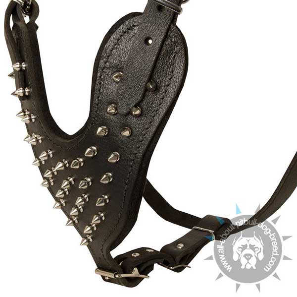pitbull leather harness with attractive spikes