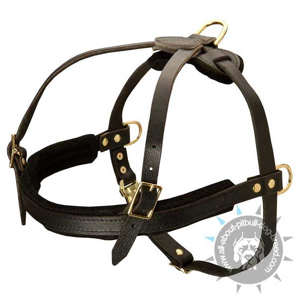 Secure walking leather dog harness