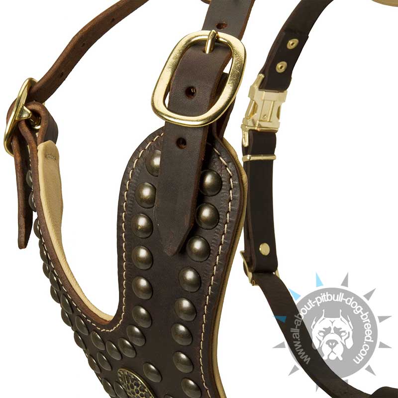 Lv Leather Harness , Leash and Collar For a Bull Dog for Sale in Cypress,  TX - OfferUp