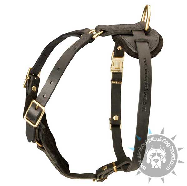 Super comfortable leather dog harness