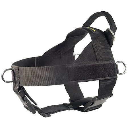 Nylon Harness for Canicross-PITBULL Harness