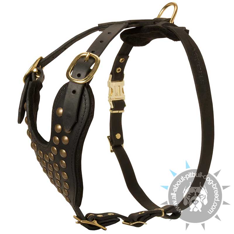 2 Ply Studded Leather Dog Harness for Pitbull