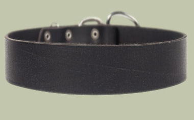 2 inch wide All Weather Collar for Pitbull -Leather Collar - Click Image to Close