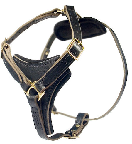 2-ply Latigo Leather Harness for Pitbull - Click Image to Close