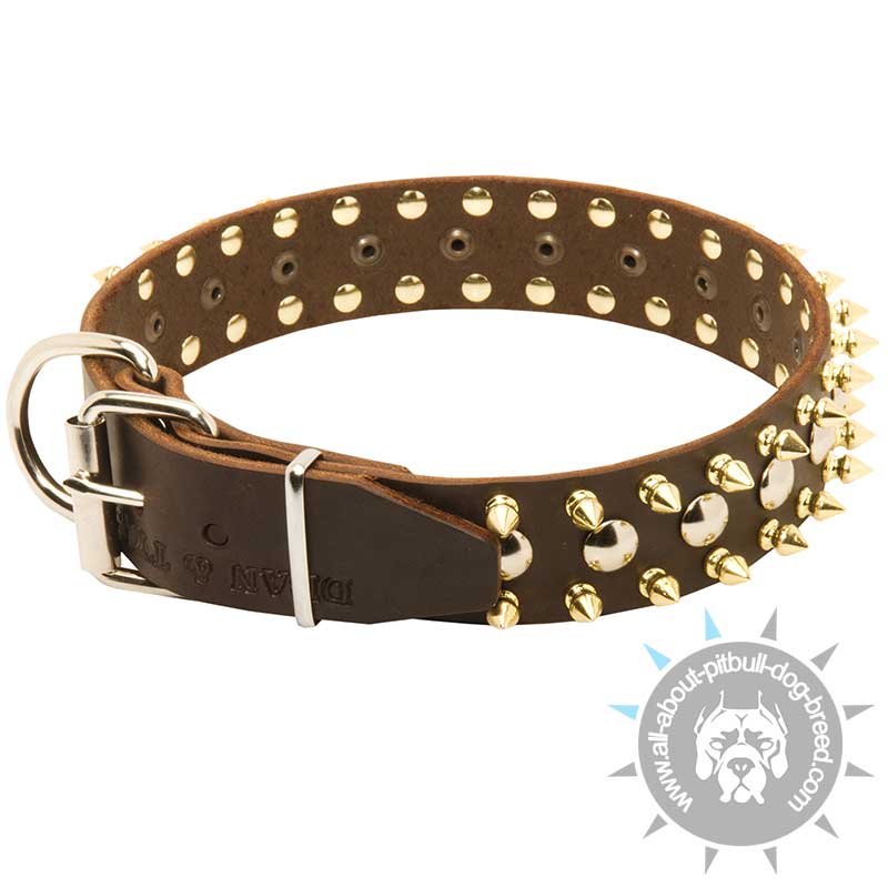 Gorgeous Spiked and Studded Leather Pitbull Collar - Click Image to Close