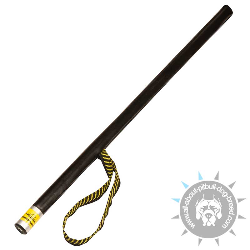 Agitation Stick for Pitbull Professional Training