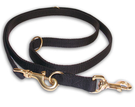All In One Multi Purpose Dog Leash for Pitbull