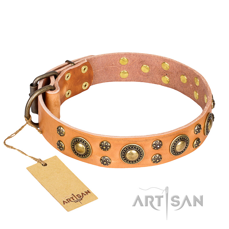 'Sophisticated Glamour' FDT Artisan Tan Leather PitBull Collar with Fashionable Old-Bronze Plated Decorations