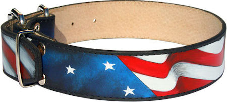 Amazing Patriotic American Flag Dog Collar for Pitbull