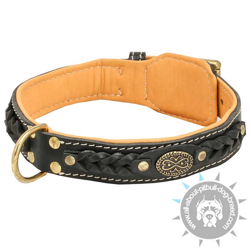 Top Choice Braided Dog Collar with Nappa Padding