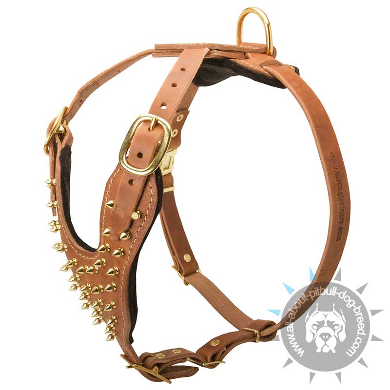 PITBULL Brass Leather Spiked Dog Harness-Handcrafted Dog Harness