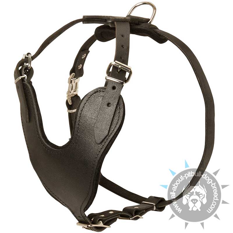Heavy Duty Padded Pitbull Harness of Genuine Leather