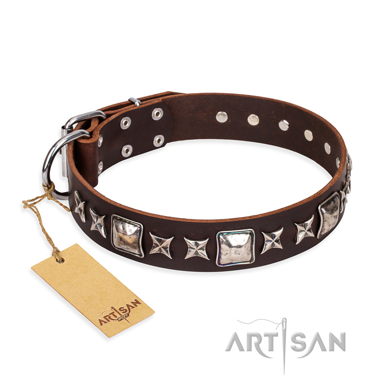 'Perfect Impression' FDT Artisan Pitbull Brown Leather Dog Collar with Silvery Square Studs - 1 1/2 inch (40 mm) Wide