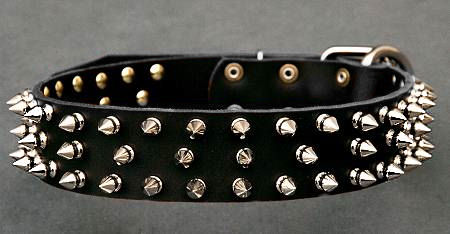 Canine Deluxe Spiked Leather Dog Collar for Pitbull