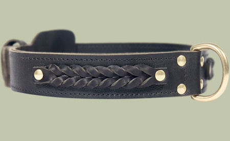 Center D-Ring Leather Collar for Pitbull