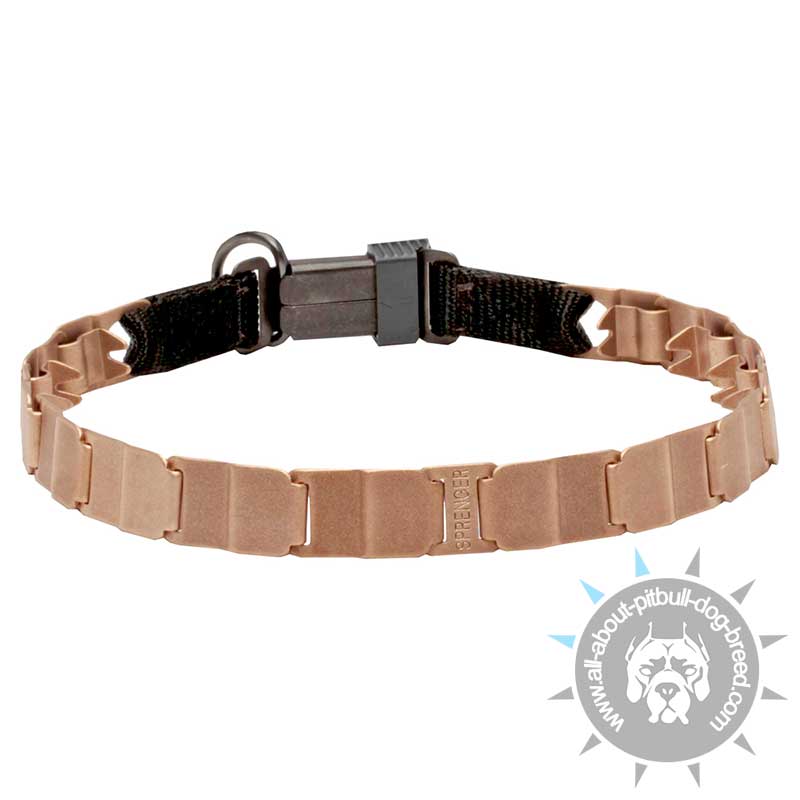'Master' Neck Tech Pitbull Curogan Pinch Prong Collar with Click Lock Buckle - 24 inch (60 cm)