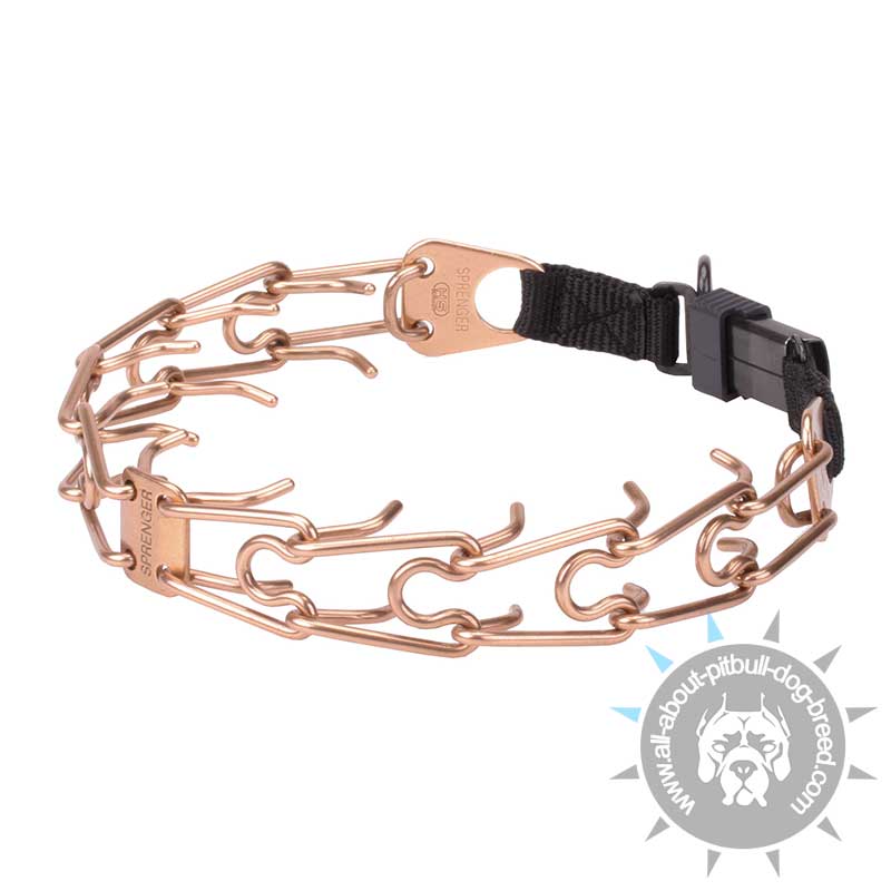 'Under Control' HS Curogan Pinch Collar with Click Lock Buckle - 1/6 inch (4.0 mm) prong diameter