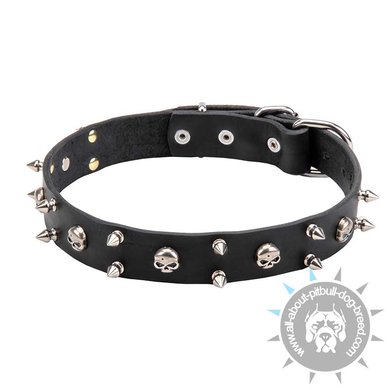 "Jolly Roger" Leather Collar with Nickel-plated Skulls and 2 Rows of Spikes