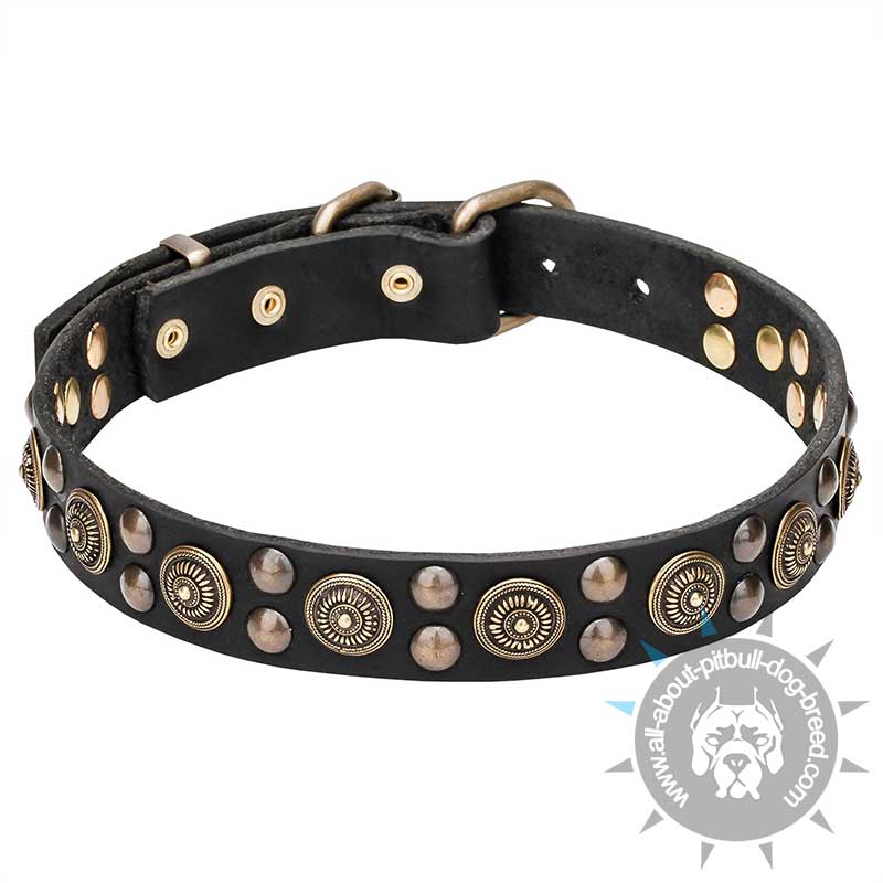 "Boho Style" Leather Pitbull Collar with Mix of Brass Studs