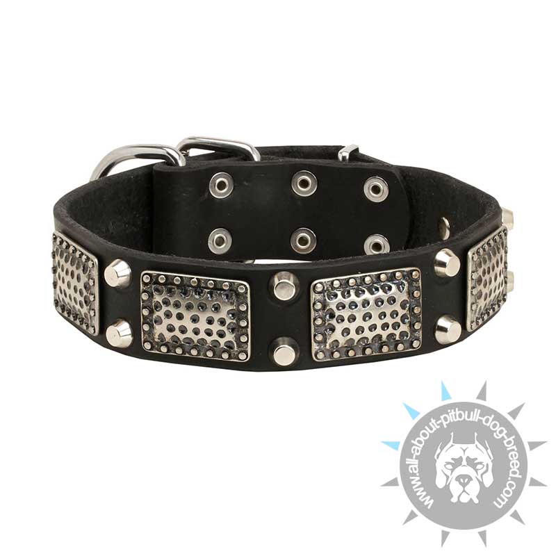 Gorgeous War Dog Leather Pitbull Collar with Old Nickel Plates and Cones