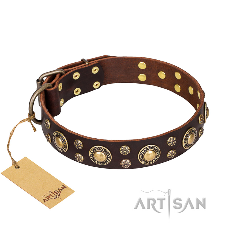 'Flower Melody' FDT Artisan Pitbull Brown Leather Dog Collar with Mixed Studs for Walking - Click Image to Close