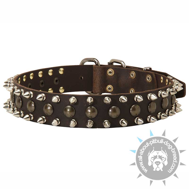 Pitbull Leather Spiked and Studded Dog Collar