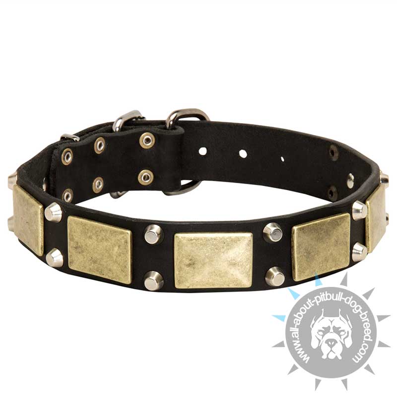 One-of-a-kind Leather Dog Collar Decorated with Brass Massive Plates + 2 Nickel Pyramids