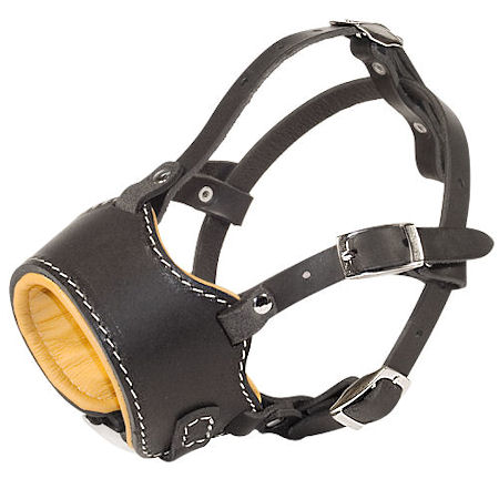 Stop Dog Barking for Pitbull with this special design muzzle