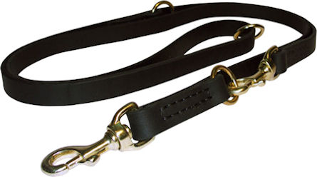 Dog Leash Training for Pitbull -Training Lead