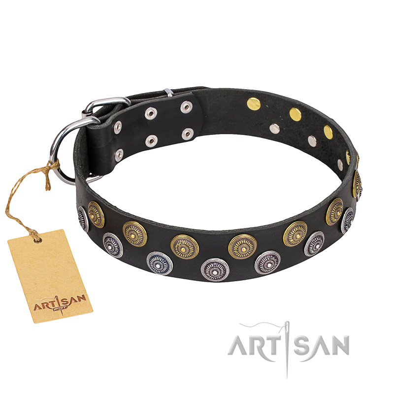 "Romantic Breeze" FDT Artisan Black Leather Pitbull Collar with Riveted Circles