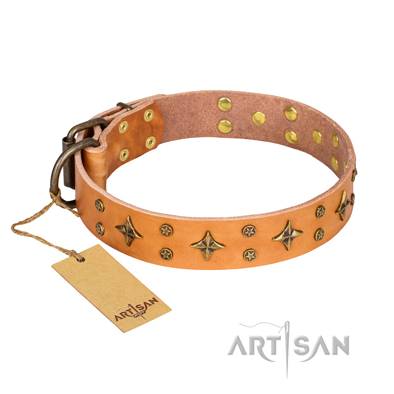 'Top-Flight' FDT Artisan Adorned Tan Leather Pitbull Collar