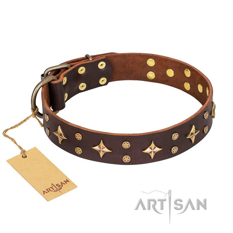 'High Fashion' FDT Artisan Embellished Brown Leather Pitbull Collar - Click Image to Close