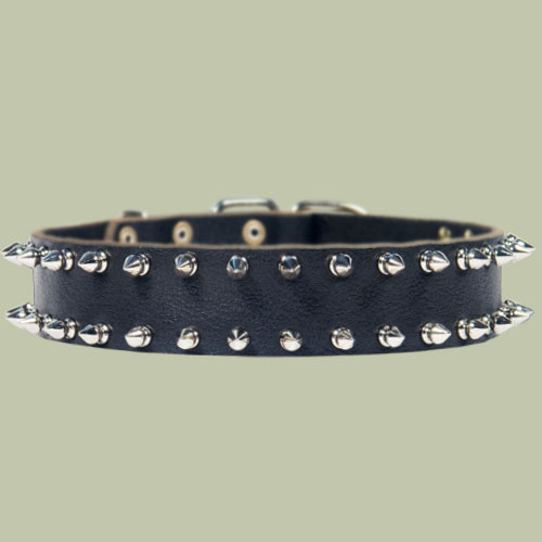 Double Row Spiked Collar for Pitbull- Leather Spike Collar