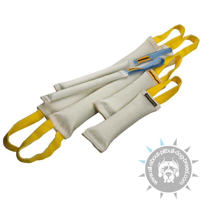 2 Fire Hose Bite Sets of 3 Tugs Each