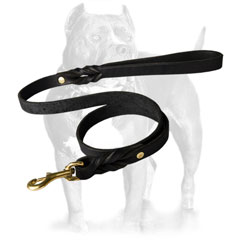 Durable Leash made of Leather for Pitbull