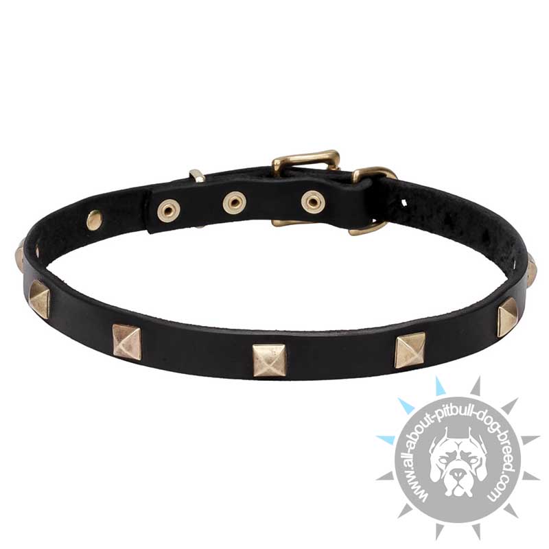 "Modern Style" Narrow Dog Collar of Genuine Leather with Brass Pyramids