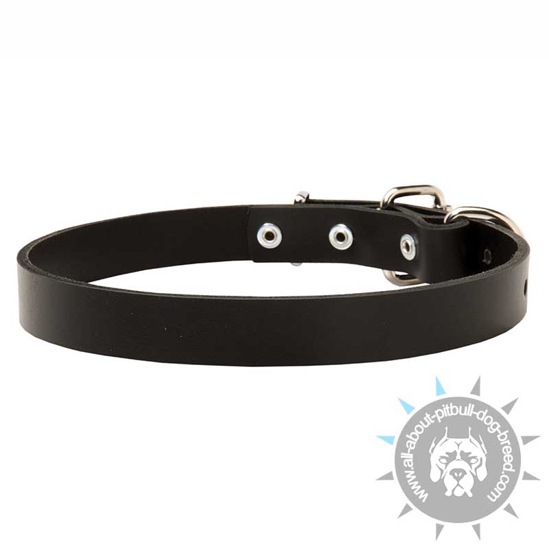 Classic Leather Dog Collar with Steel Nickel Plated Hardware