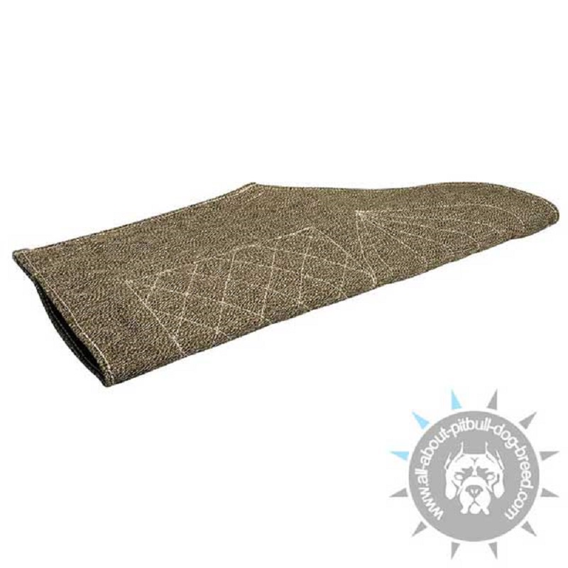 Young Dog Sleeve Cover of French Linen for PS9 Sleeve