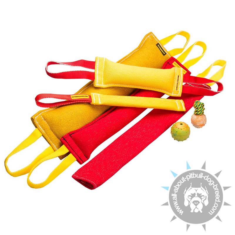 Ultimate Bite Training Set and 3 Amazing Gifts ( value $17.2)